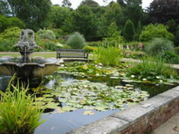 Teich im Botanischen Garten Isle of Wight